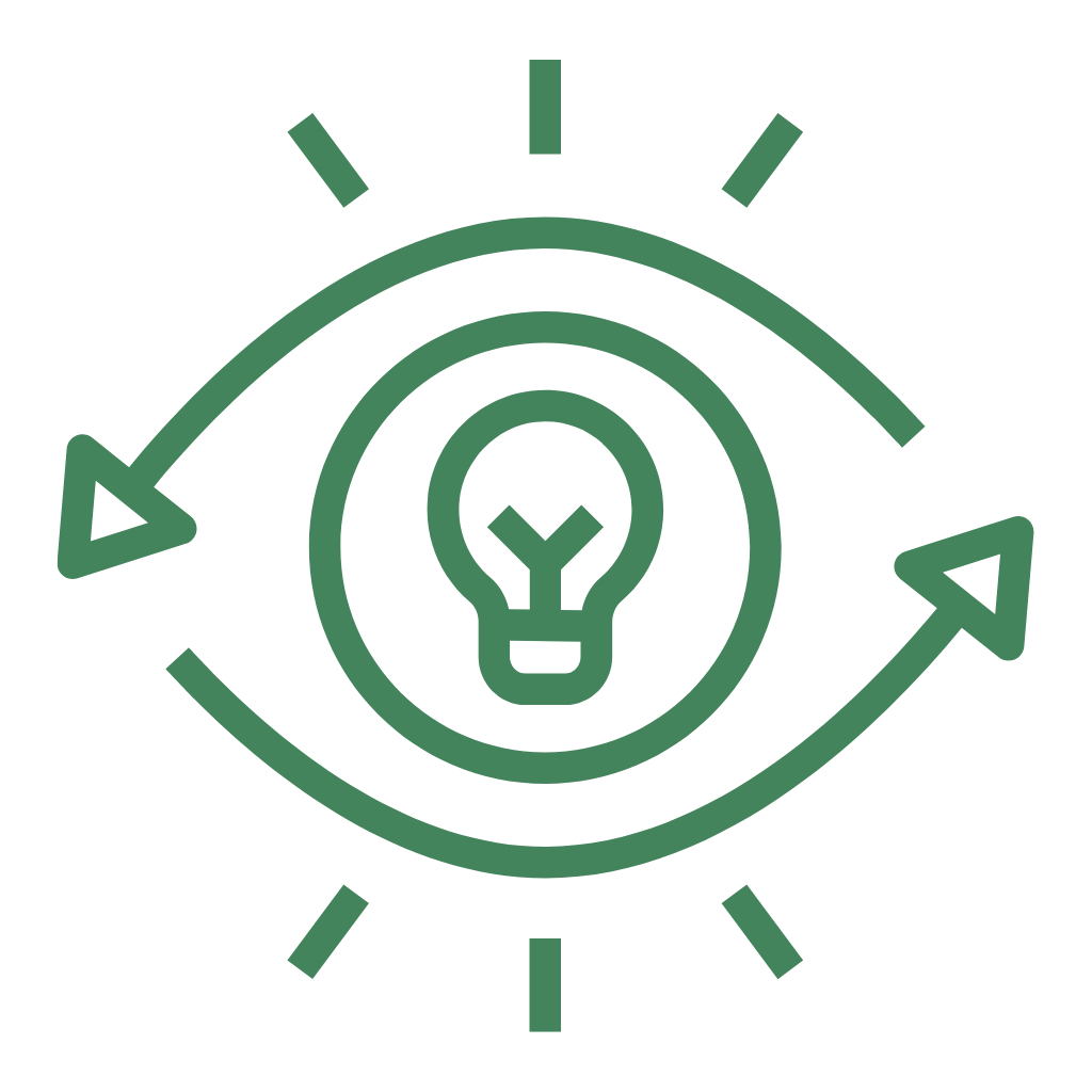 vision_1